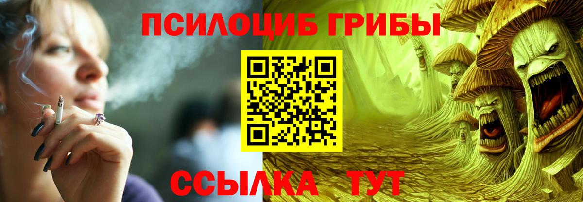 купить  цена  Вход с VPN  Ивантеевка  Галлюциногенные грибы мицелий 